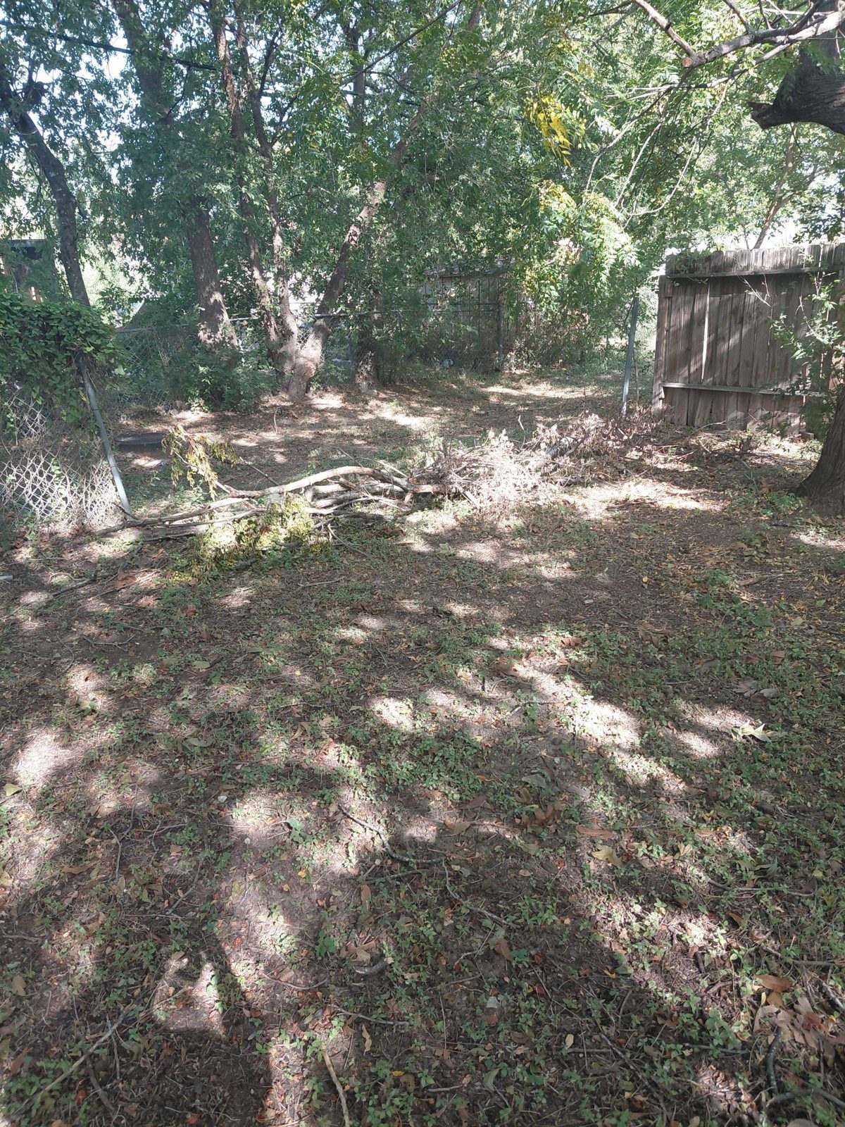 Backyard at 1203 Rossolis Dr